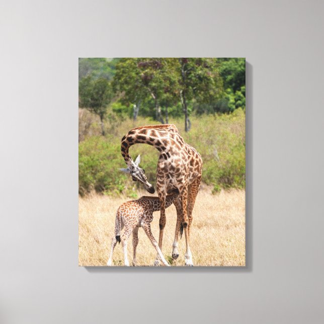 Giraffmoder och unge i Kenya Canvastryck (Framsida)