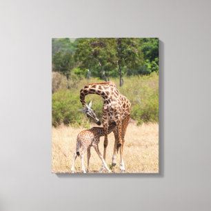 Giraffmoder och unge i Kenya Canvastryck