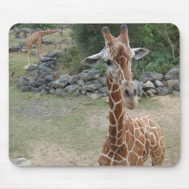 Giraffmousepad Musmatta (Framsidan)