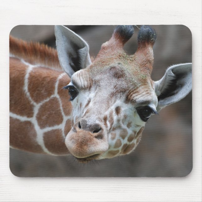 Giraffmusen vadderar musmatta (Framsidan)