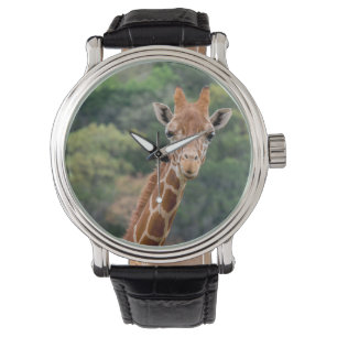 Giraffnågot att säga "ost" med en stor armbandsur