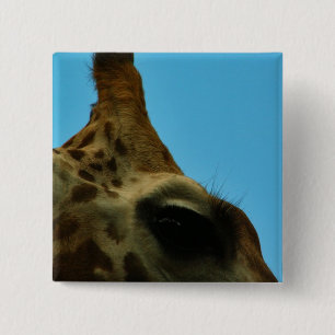 girafföga knapp