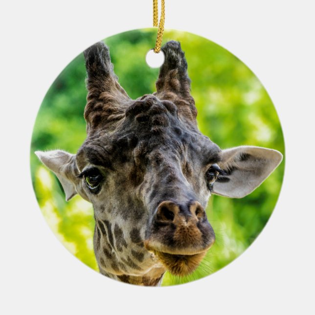 Giraffögonfranser Julgransprydnad Keramik (Framsidan)