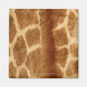 Giraffpäls Magnet