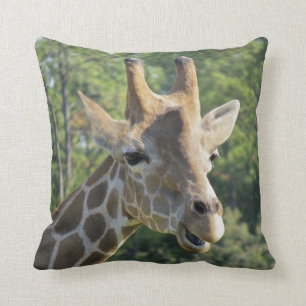 Giraffporträtt Kudde