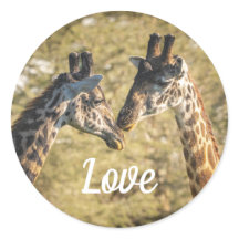 Giraffs i Kärlek Sticker