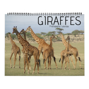 giraffsafari 2027 stor kalender