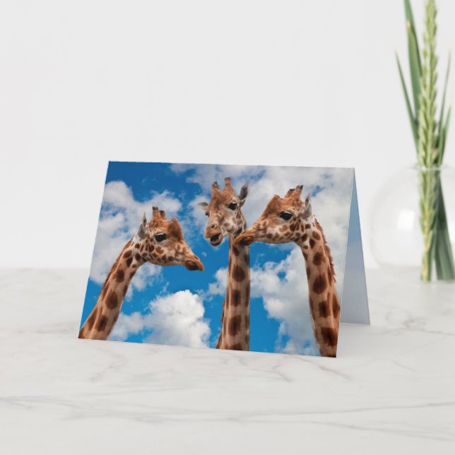 Giraffskvallerflickor Kort (Framsida)