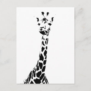 Girafftryck Vykort