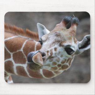 Girafftungamus mattor musmatta