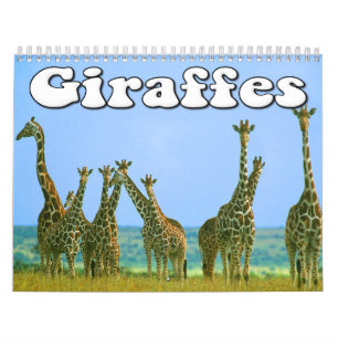 Giraffväggkalender Kalender