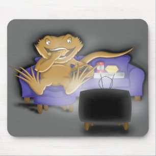 girig beardie musmatta