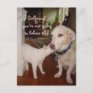 Girlkompis, du kommer inte att tro! vykort