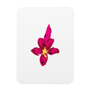Girly Design, Light Guld, Purplish Red Magnet