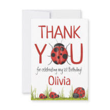 Girly Ladybug 1:a födelsedagen Party