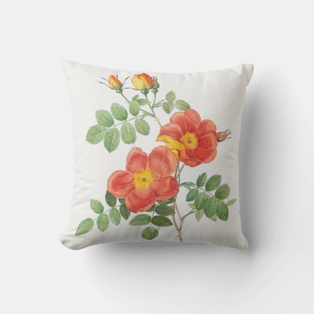 Girly Orange Ro Blommigt Botanical Kudde (Framsida)