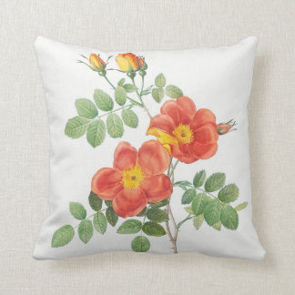 Girly Orange Ro Blommigt Botanical Kudde