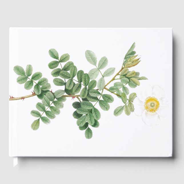 Girly vit ros Botanic Garden Flower Gästböcker (Framsida)