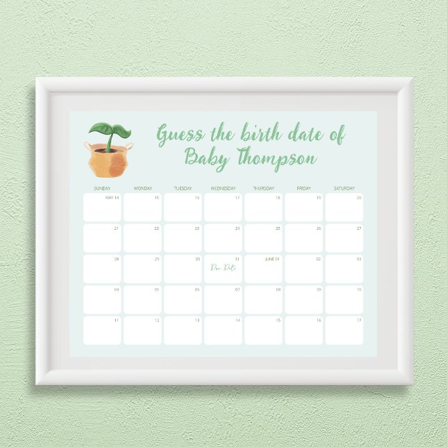 Gissa födelsemeddelandekalender Little Sprout Poster (Guess the Birth Date Calendar Little Sprout Poster)