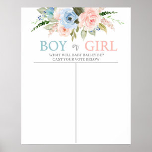 Gissa genderna poster