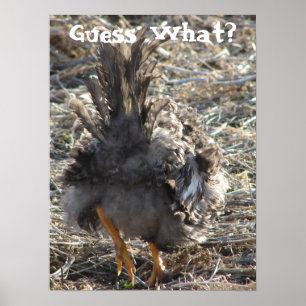 Gissa vad? KycklingButt Poster