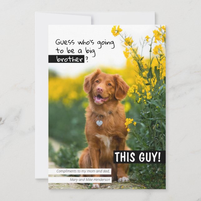 Gissa vem som ska bli storebror/syster? inbjudningar (Framsida)