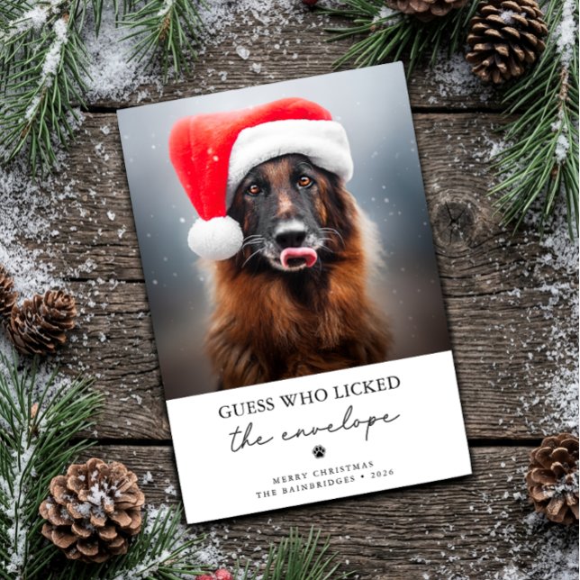 Gissa vem som slickade kuvertet Rolig julhund  Julkort (Guess who licked the envelope Funny Dog Photo Christmas Card)