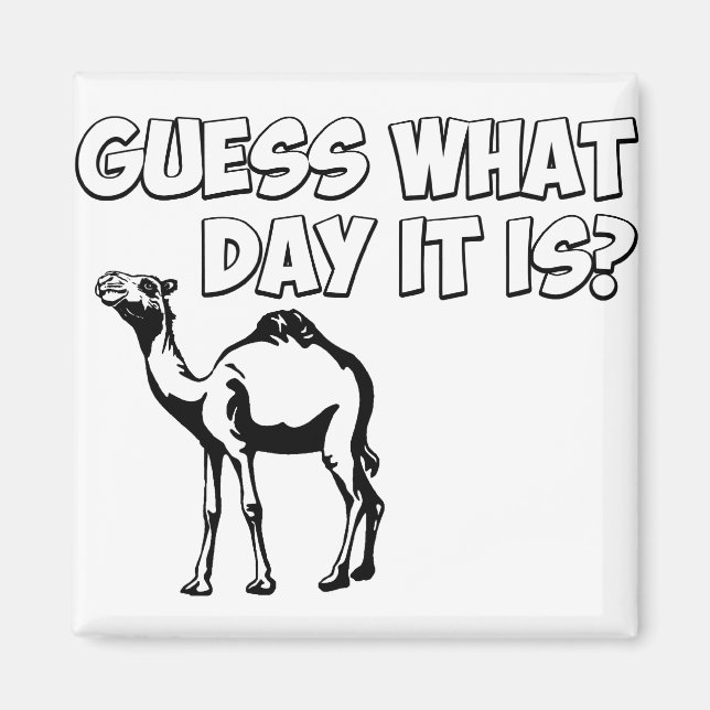 Gissa vilken dag det är? Hump Day Camel Magnet (Framsidan)