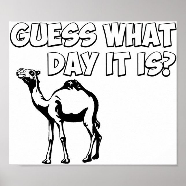 Gissa vilken dag det är? Hump Day Camel Poster (Framsidan)