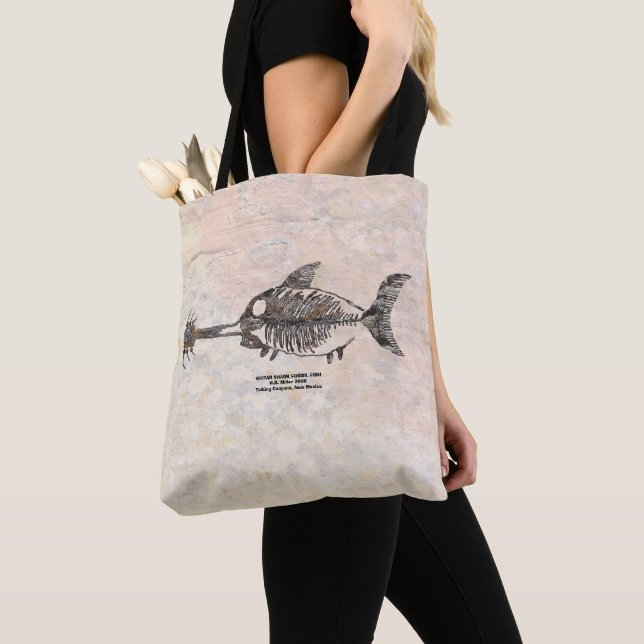 GITARREHAJ FISKFOSSIL TYGKASSE (Närbild)