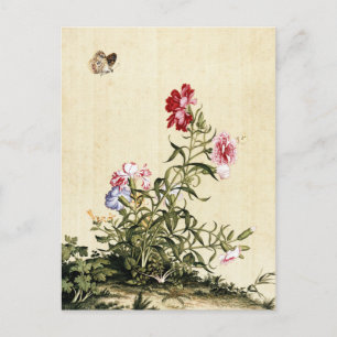 Giuseppe Castiglione - Carnation Fine Art Vykort