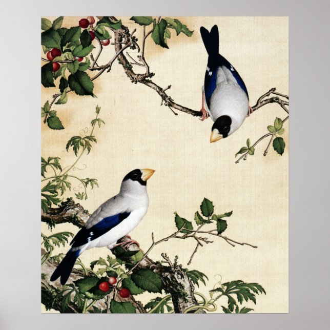 Giuseppe Castiglione - Cherry Blommars Fine Art Poster (Framsidan)