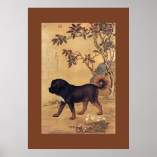 ~ Giuseppe Castiglione för Mastiff för Cangni Poster
