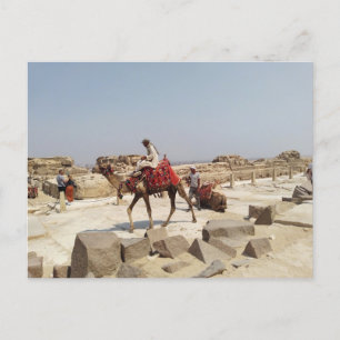 Giza-platån nära pyramiderna vykort