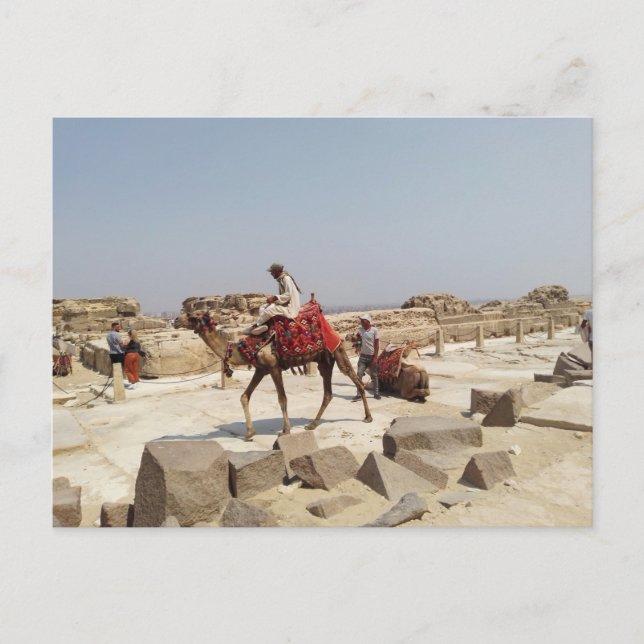 Giza-platån nära pyramiderna vykort (Framsida)