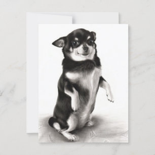 "Gizma"- Prisbelönt Chihuahua Painting Vykort