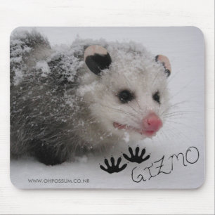 Gizmohäfte Mousepad Musmatta