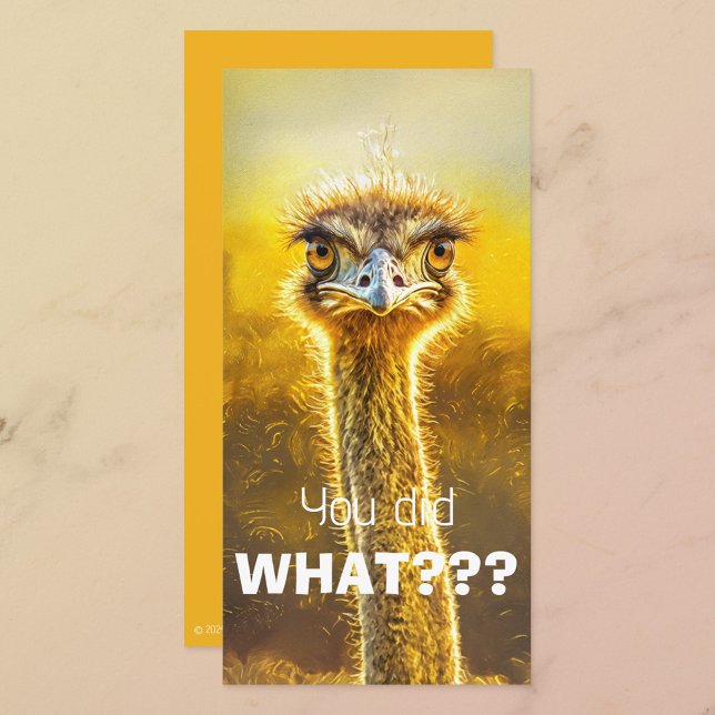 Gjorde du vad? (Skapare uppladdad)