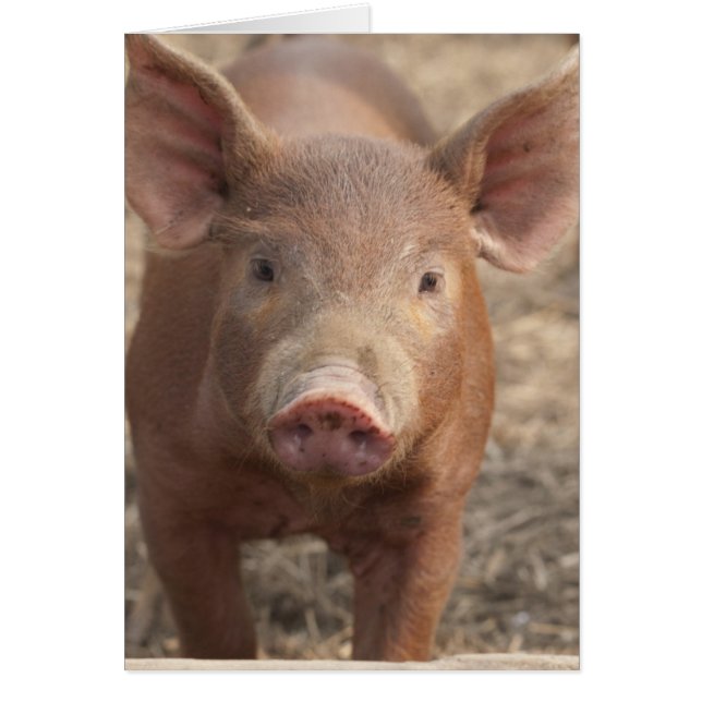 Gjorde vad dig något att säga? hälsningskort (Framsidan)