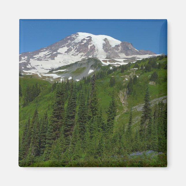 Glacial smältning vid Mount Rainier Magnet (Framsidan)
