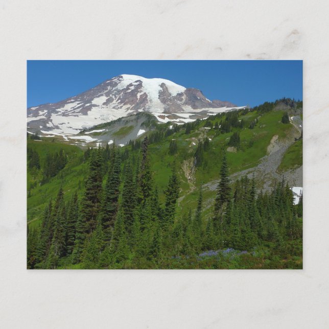Glacial smältning vid Mount Rainier Vykort (Framsida)