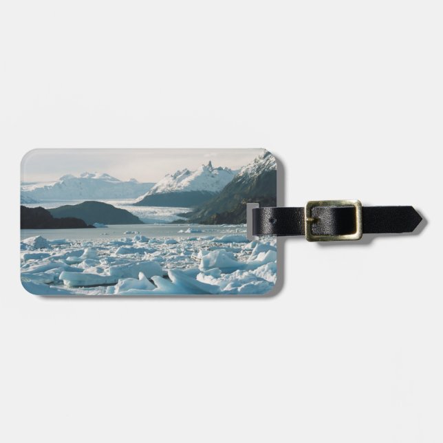 Glaciala isberg bagagebricka (Horisontell Framsida)