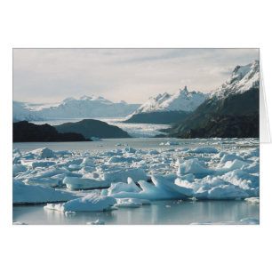 Glaciala isberg hälsningskort