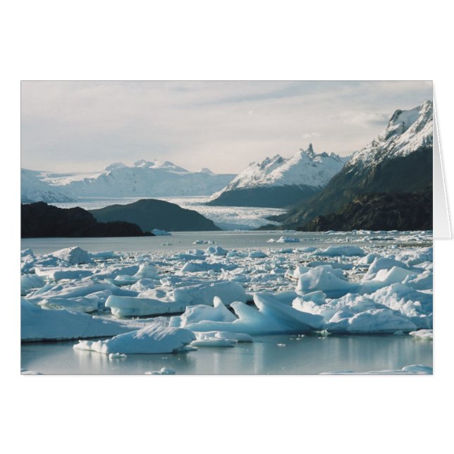 Glaciala isberg hälsningskort (Framsidan Horizontal)