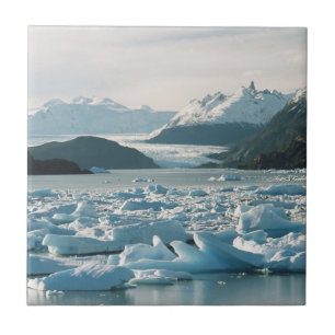 Glaciala isberg kakelplatta
