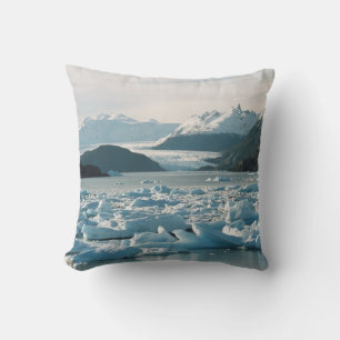 Glaciala isberg kudde