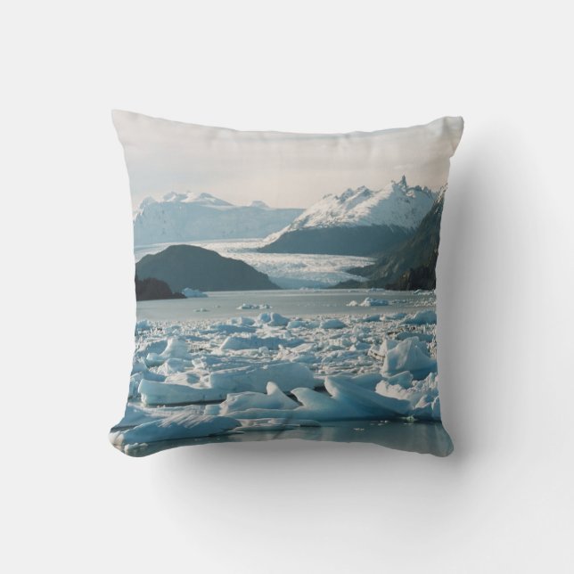 Glaciala isberg kudde (Framsida)