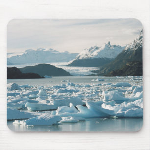 Glaciala isberg musmatta
