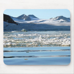 Glaciär i Svalbard Musmatta