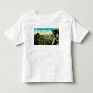 Glaciären pekar, den halva kupolen och den tee shirt